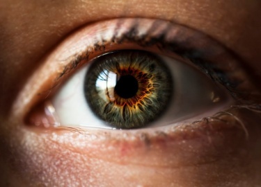 Главная физиологическая роль радужной оболочки заключается в регулировании поступающих внутрь глазного яблока лучей света. Результат достигается с ...