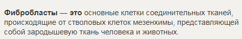 Фибробласты
