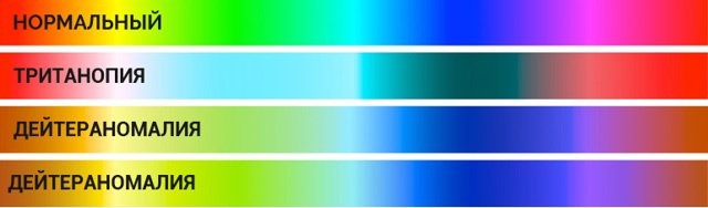 Дальтонизм у женщин и мужчин
